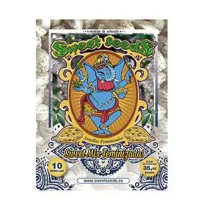 Coleccion Sweet Mix 10 u