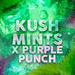 Kush Mints
