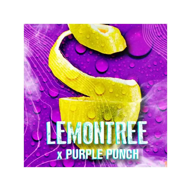 Lemon Tree