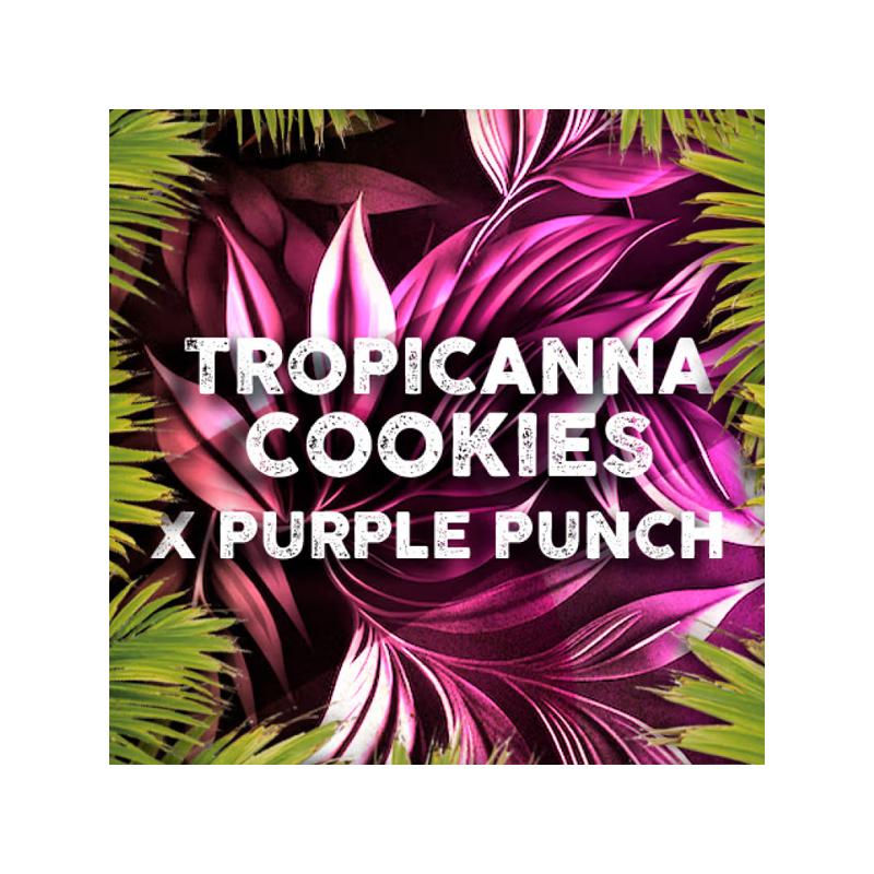 Tropicanna Cookies