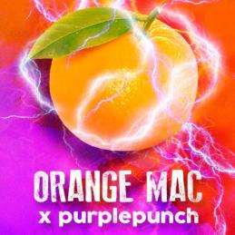Orange MAC