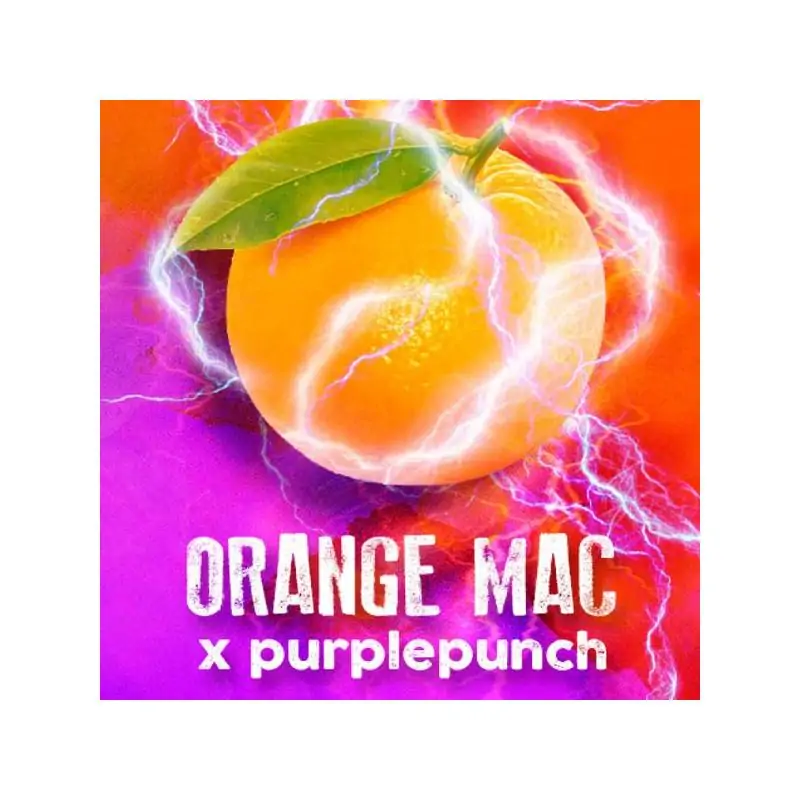 Orange MAC