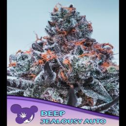 Auto Deep Jealousy