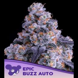 Auto Epic Buzz