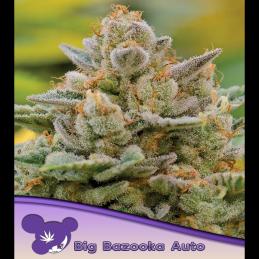 Auto Big Bazooka