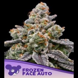 Auto Frozen Face