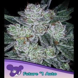 Auto Future #1