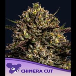 Chimera Cut