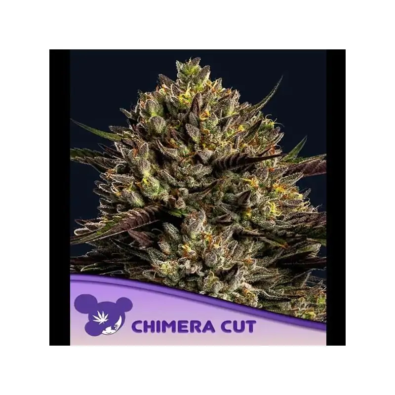 Chimera Cut