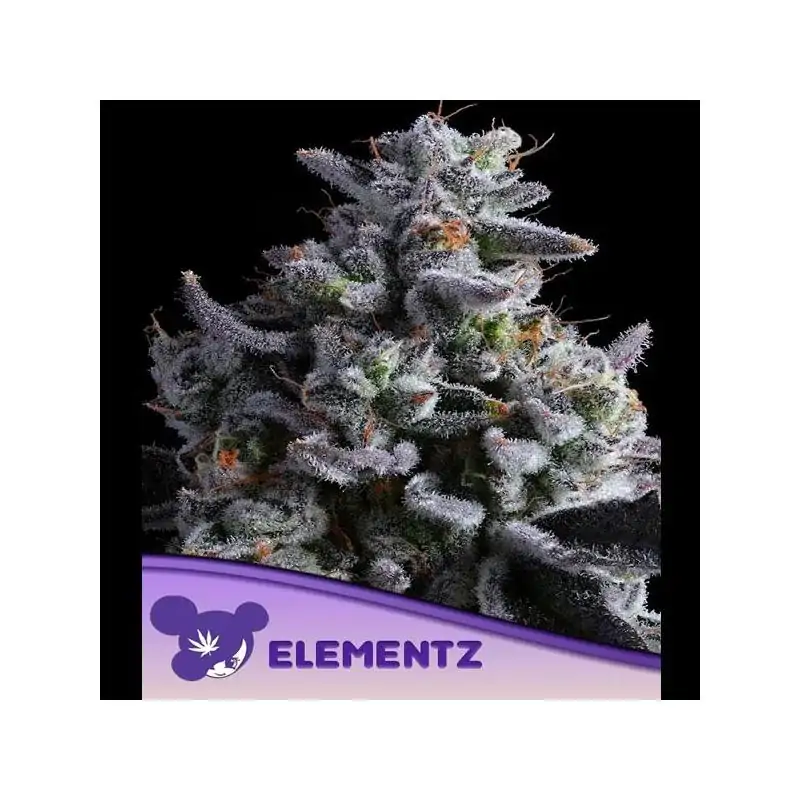 Elementz
