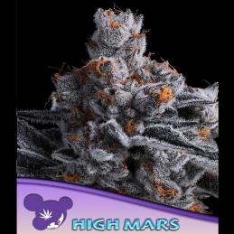 High Mars