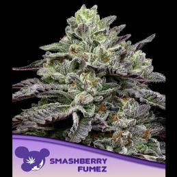 Smashberry Fumez