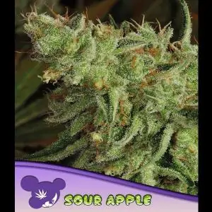 Sour Apple