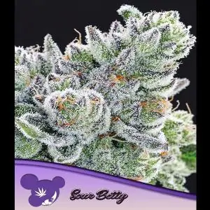 Sour Betty