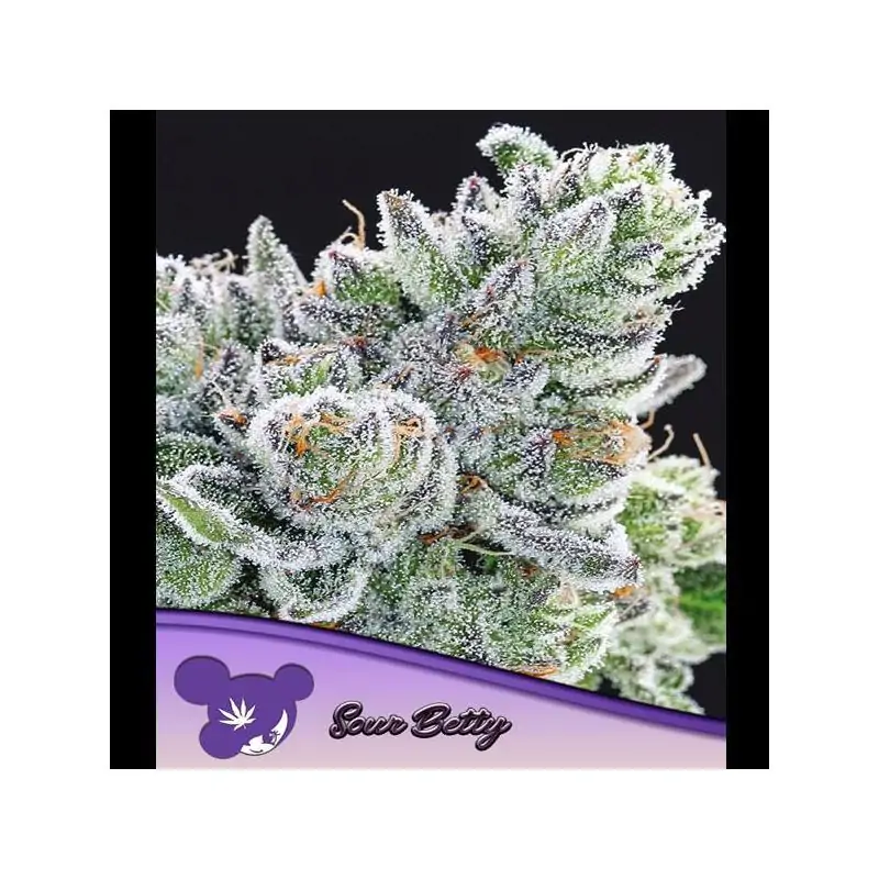 Sour Betty