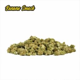 Cañamo Cbd Mini Buds Banana Smash Only Cbd