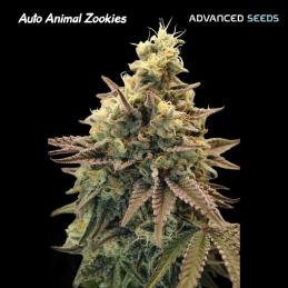 Auto Animal Zookies