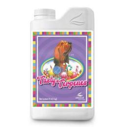 Tasty Terpenes