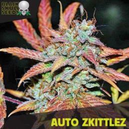 Auto Zkittlez