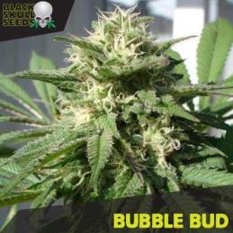 Bubble Bud