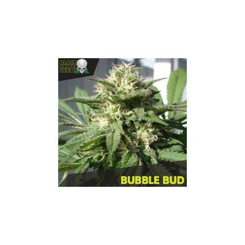 Bubble Bud Bubble Bud