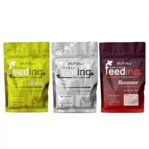 Pack Powder Feeding Green House