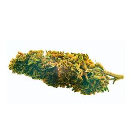 CBD Bee Blueberry
