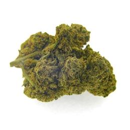 CBD Bee Critical