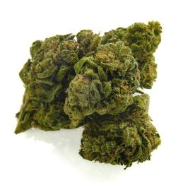 CBD Bee Monkey Kush