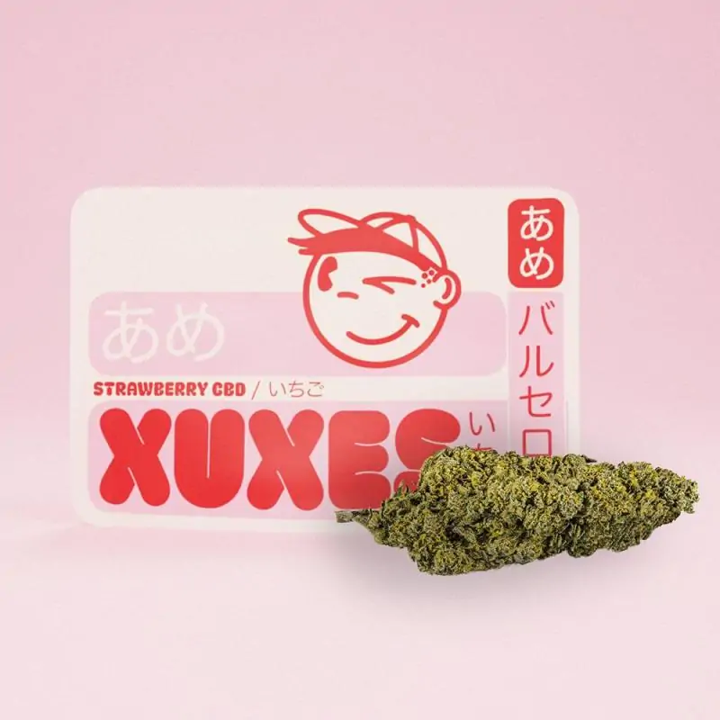 Flores de Cbd Strawberry Xuxes