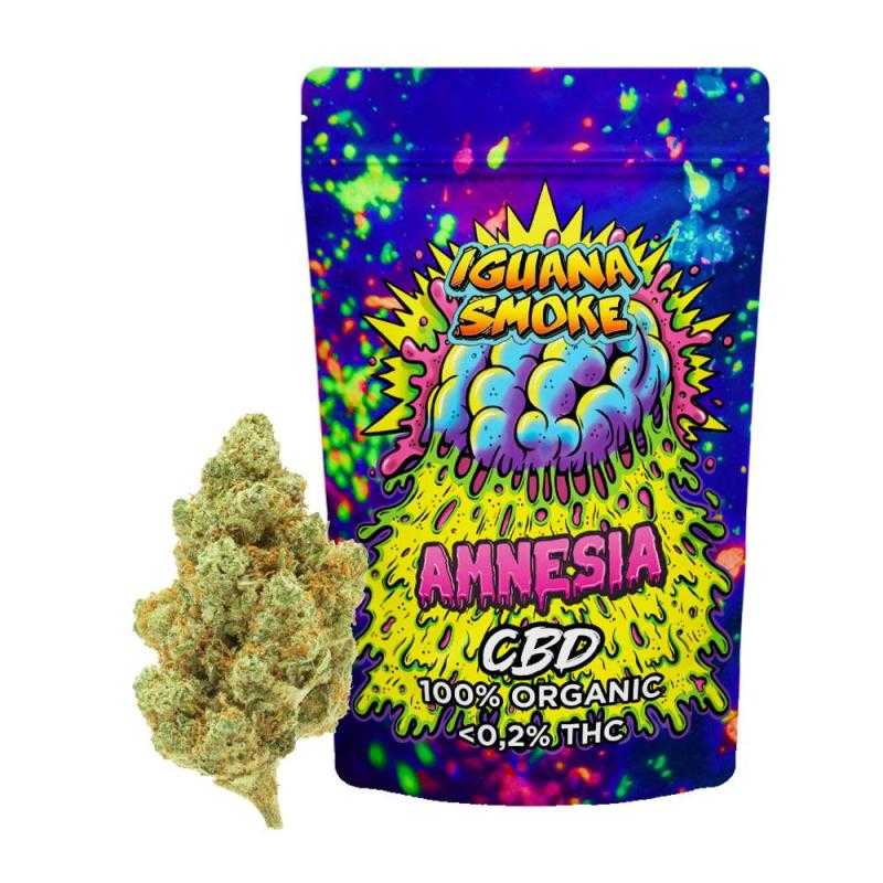 Flores de Cbd Amnesia Iguana Smoke Flores de Cbd Amnesia Iguana Smoke