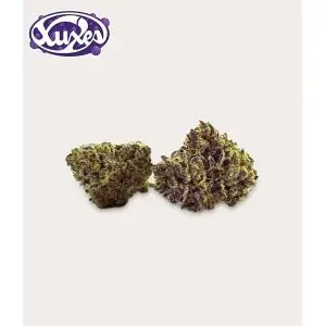 FLORES DE CBD Purple Haze XUXES 3gr