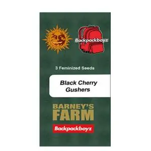 Black Cherry Gushers Barney's Backpack Boyz