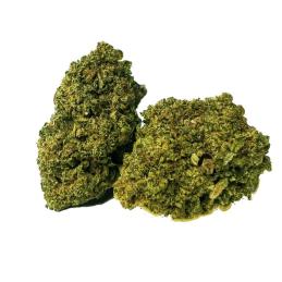 CBD Bee Sour Diesel