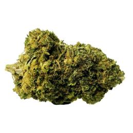 CBD Bee Jack Herer