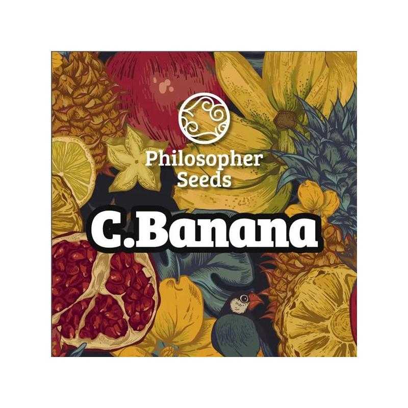 Chiquita Banana Chiquita Banana