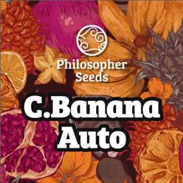 Auto Chiquita Banana