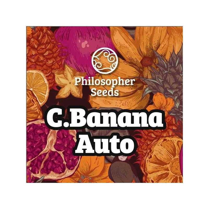 Auto Chiquita Banana Auto Chiquita Banana