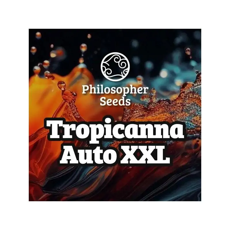 Auto Chiquita Banana