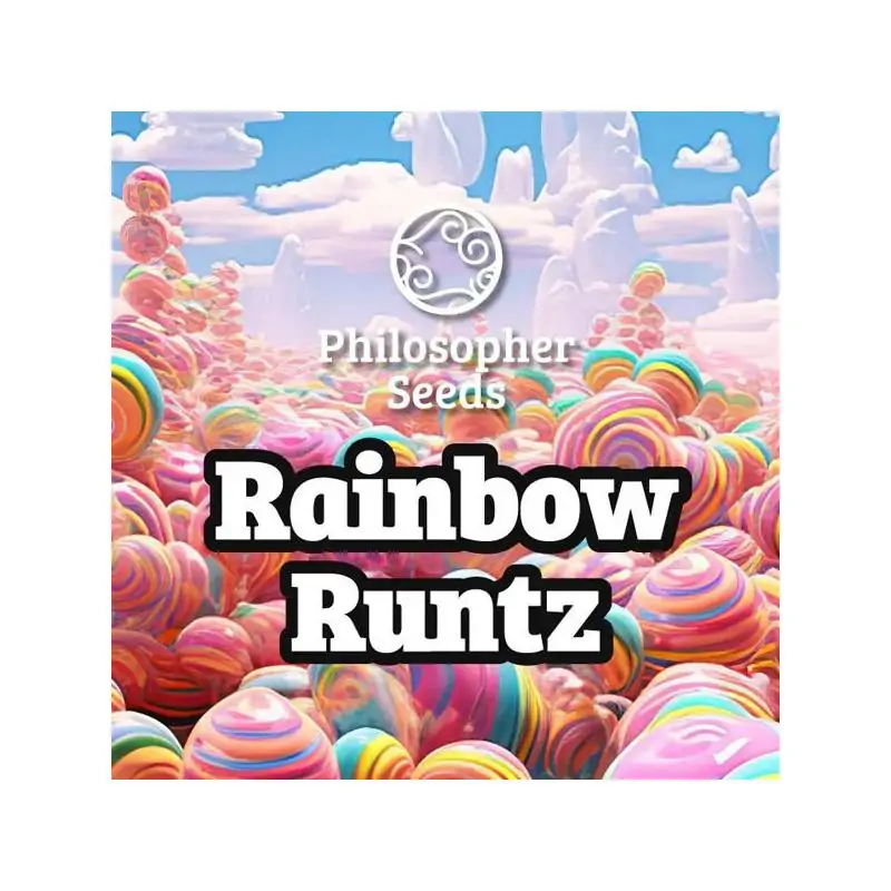 Rainbow Runtz