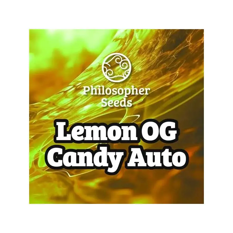 Auto Lemon OG Candy