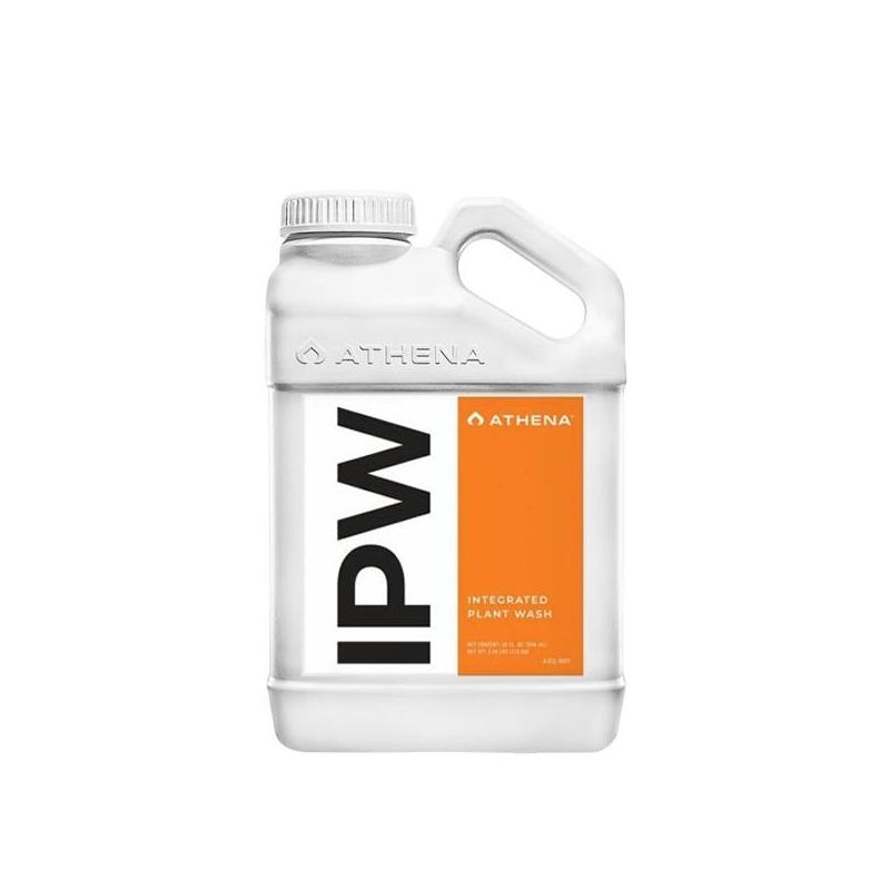Ipw Athena