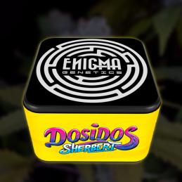 DosiDos Sherbert