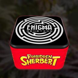 Forbidden Sherbert