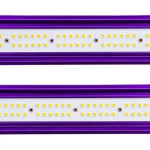Lumatek Led Zeus 465W Pro 2.9