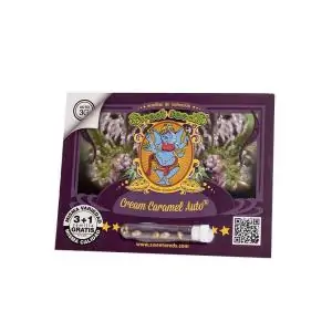Auto Cream Caramel