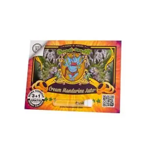 Auto Cream Mandarine