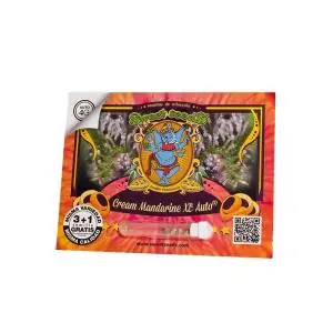 Auto Cream Mandarine XL