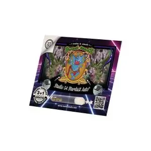 Auto Studio 54 Stardust