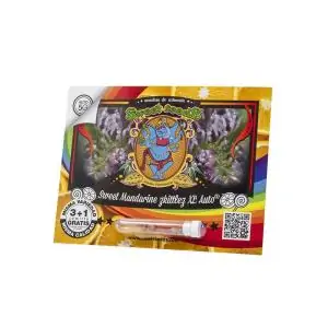 Auto Sweet Mandarine Zkittlez XL